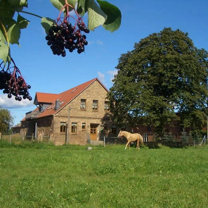 Backstein-Hofgebäude des Lindenhofs mit Holunder und Pferd auf der Weide