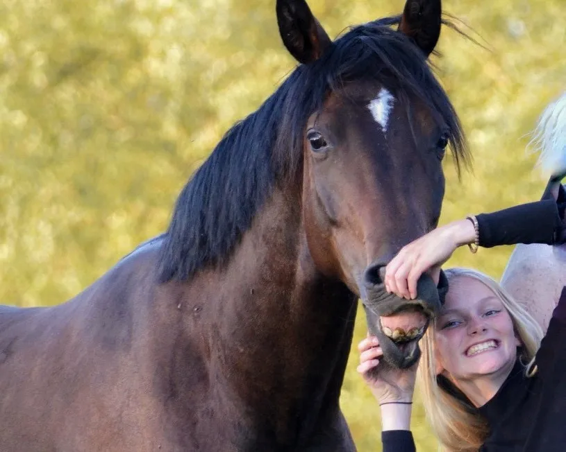 Auszubildende hat sichtlich Spaß beim Umgang mit einem Pferd